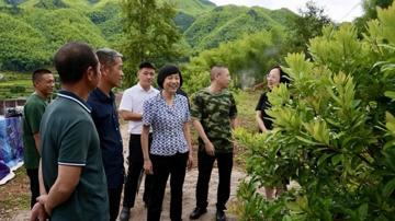 图片 5.png 图片 5.png